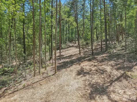 000 Ravenwood Drive Fletcher NC 28732