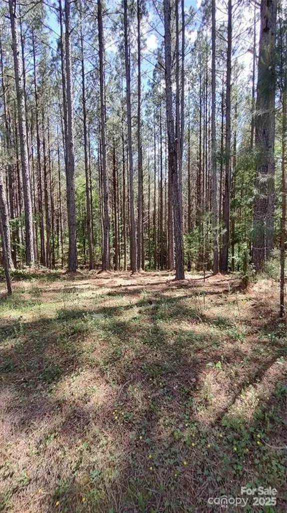 105 Cranberry Lane Mooresboro NC 28114