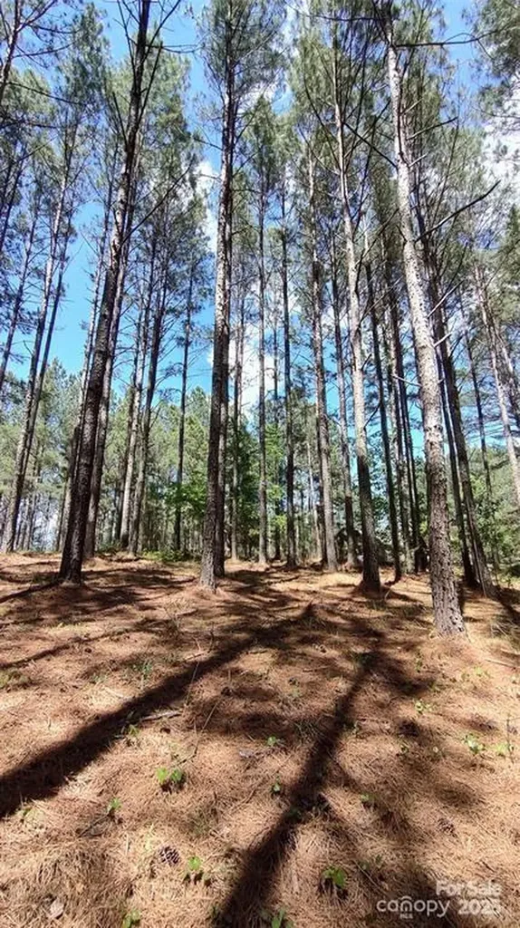 105 Cranberry Lane Mooresboro NC 28114