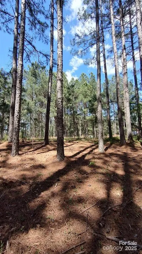 105 Cranberry Lane Mooresboro NC 28114