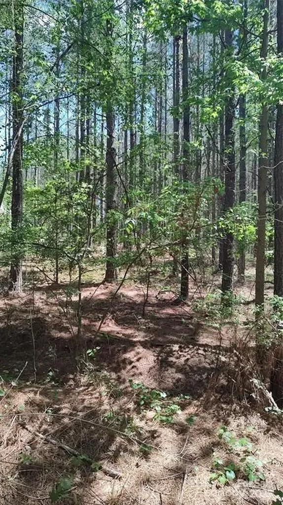 105 Cranberry Lane Mooresboro NC 28114