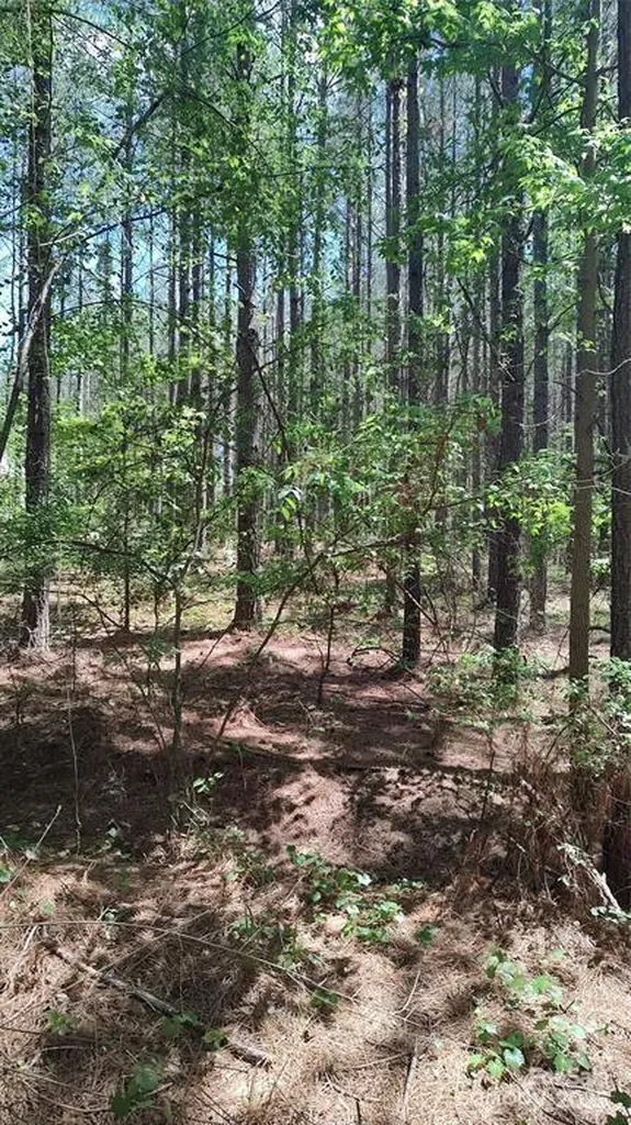 105 Cranberry Lane Mooresboro NC 28114