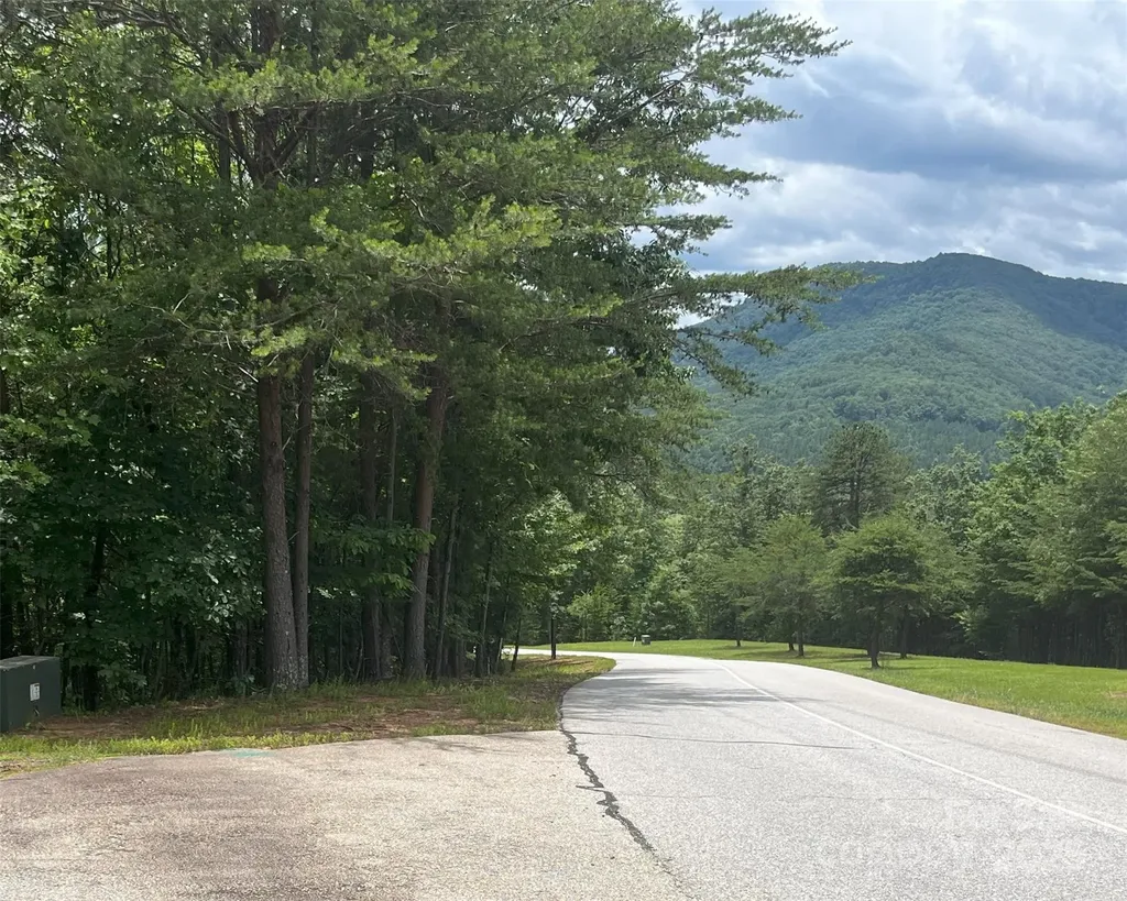 00 Deep Gap Road E Mill Spring NC 28756