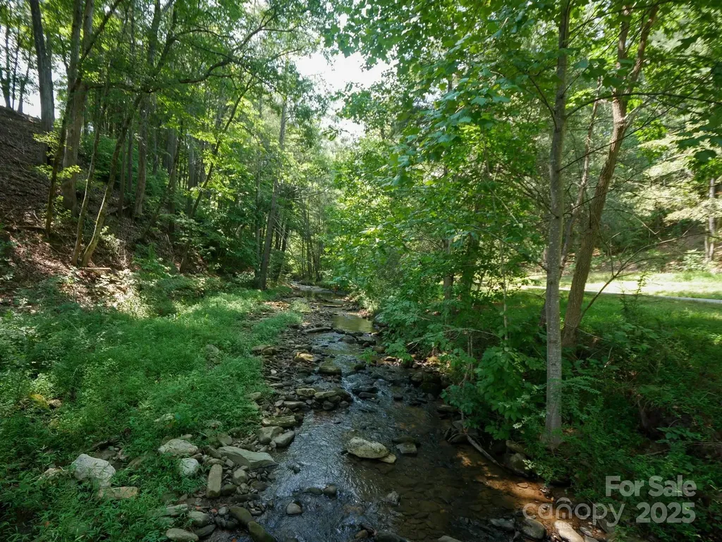 00 Deep Gap Road E Mill Spring NC 28756