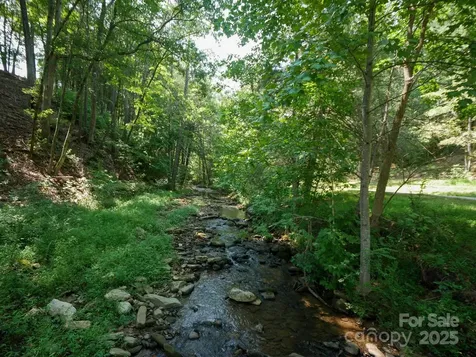 00 Deep Gap Road E Mill Spring NC 28756