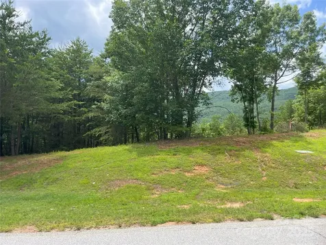 00 Deep Gap Road E Mill Spring NC 28756