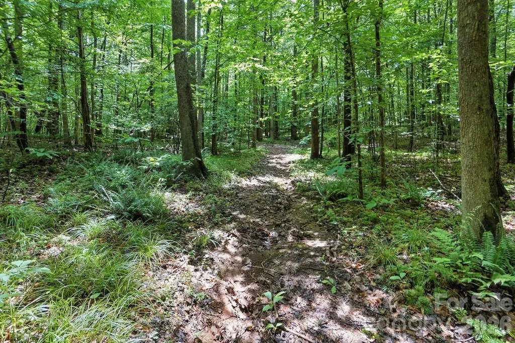 6 Hager Mountain Lane Iron Station NC 28080