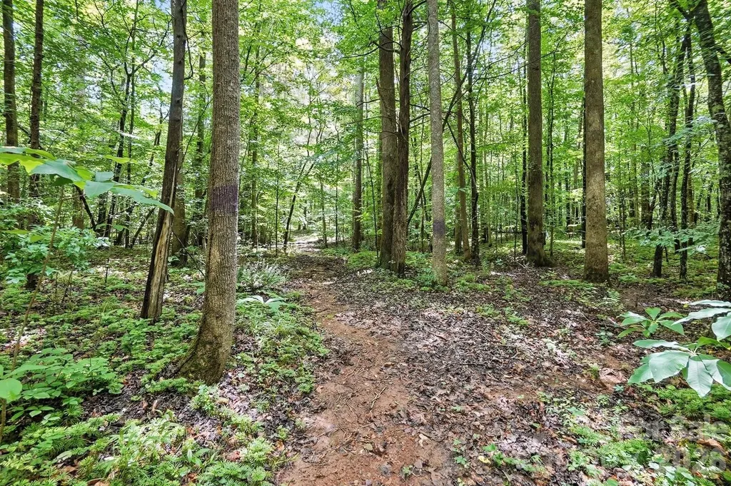 6 Hager Mountain Lane Iron Station NC 28080