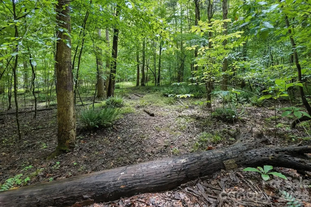 6 Hager Mountain Lane Iron Station NC 28080