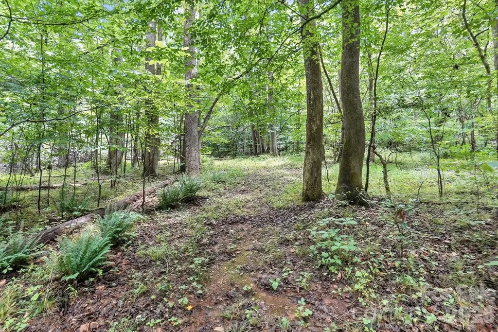 6 Hager Mountain Lane Iron Station NC 28080