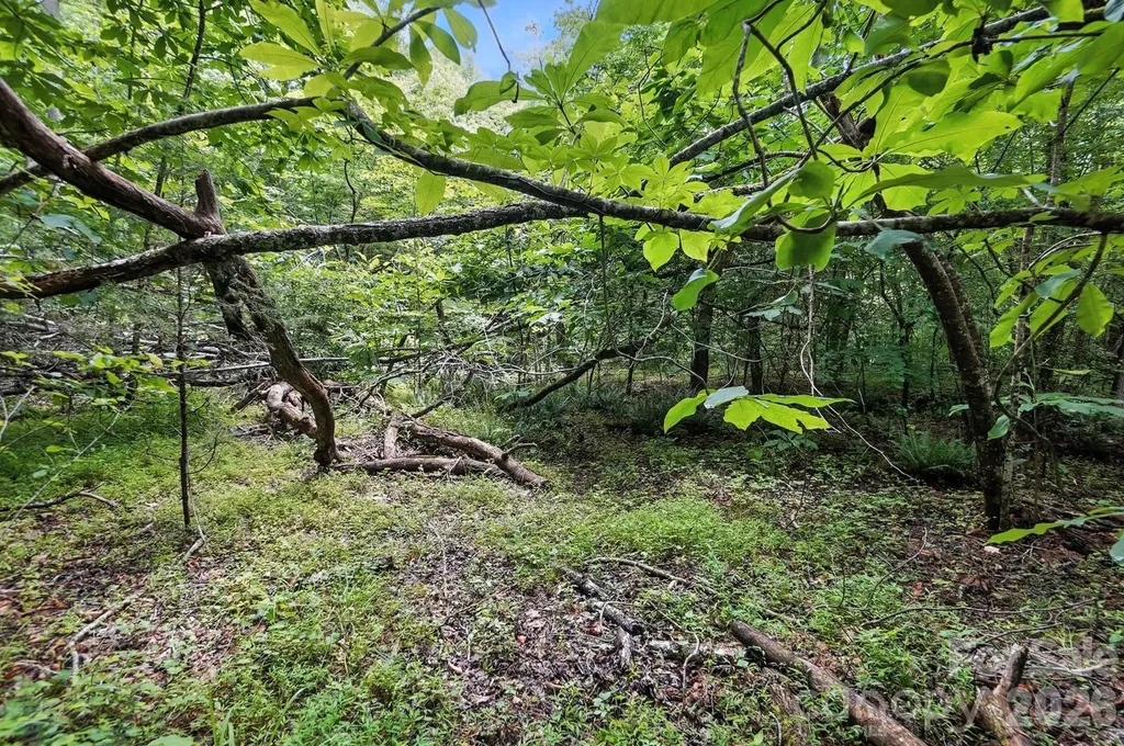 6 Hager Mountain Lane Iron Station NC 28080