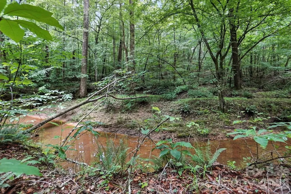 6 Hager Mountain Lane Iron Station NC 28080