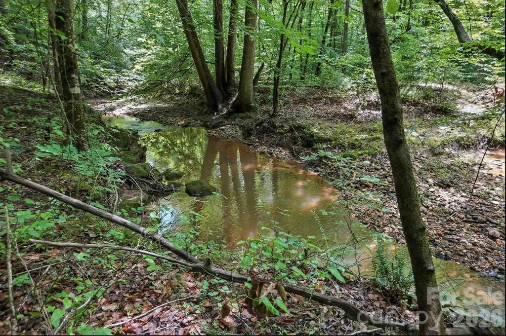6 Hager Mountain Lane Iron Station NC 28080
