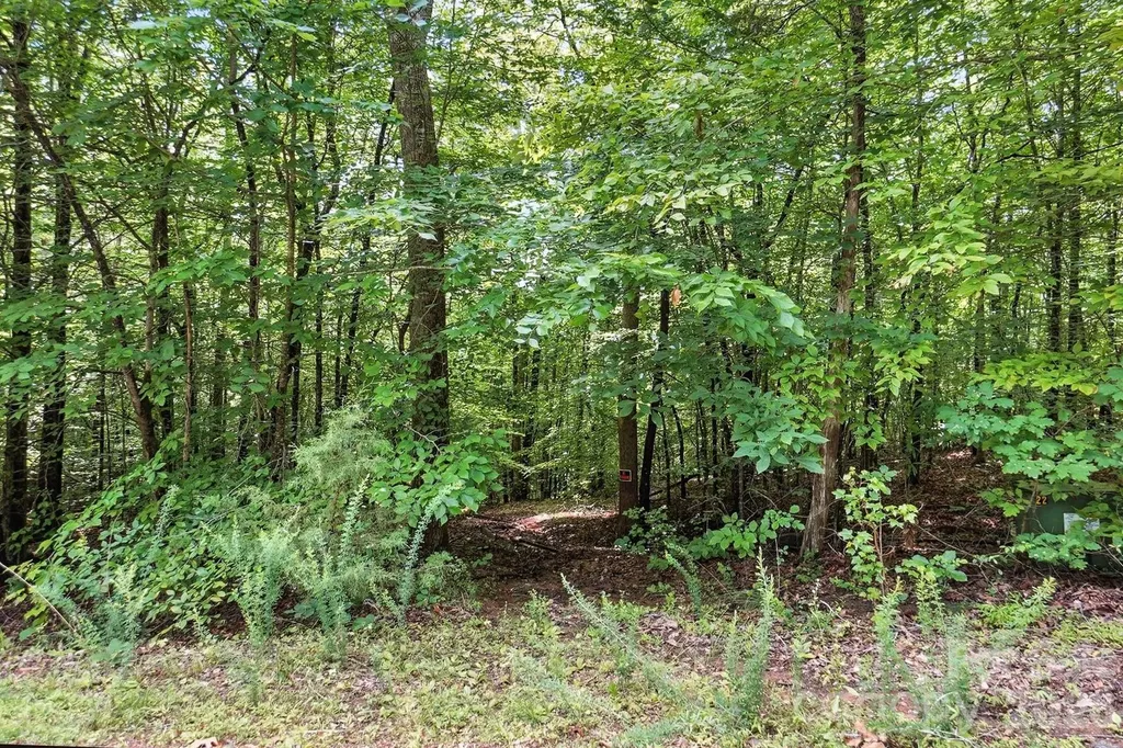 6 Hager Mountain Lane Iron Station NC 28080