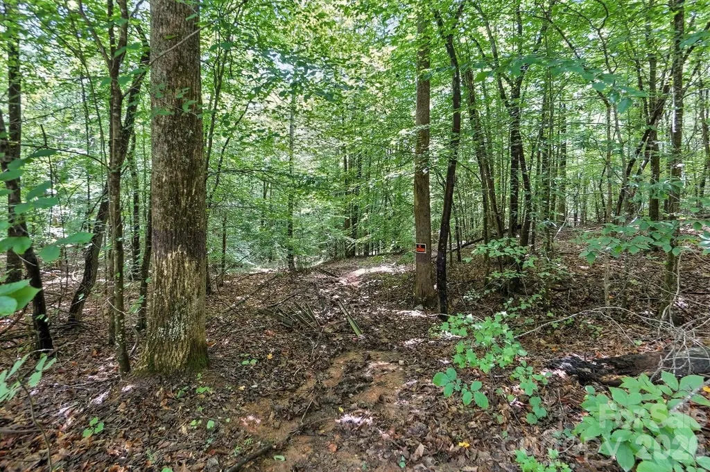 6 Hager Mountain Lane Iron Station NC 28080