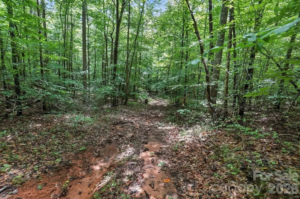 6 Hager Mountain Lane Iron Station NC 28080