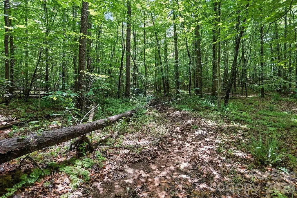 6 Hager Mountain Lane Iron Station NC 28080