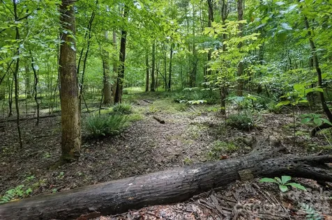 6 Hager Mountain Lane Iron Station NC 28080