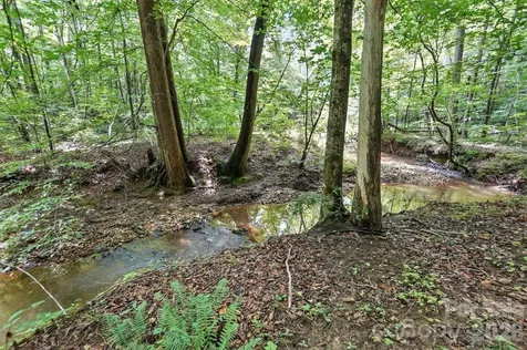 6 Hager Mountain Lane Iron Station NC 28080