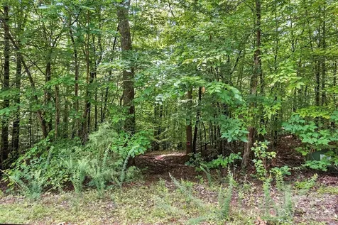 6 Hager Mountain Lane Iron Station NC 28080