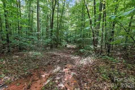 6 Hager Mountain Lane Iron Station NC 28080