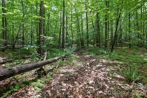6 Hager Mountain Lane Iron Station NC 28080
