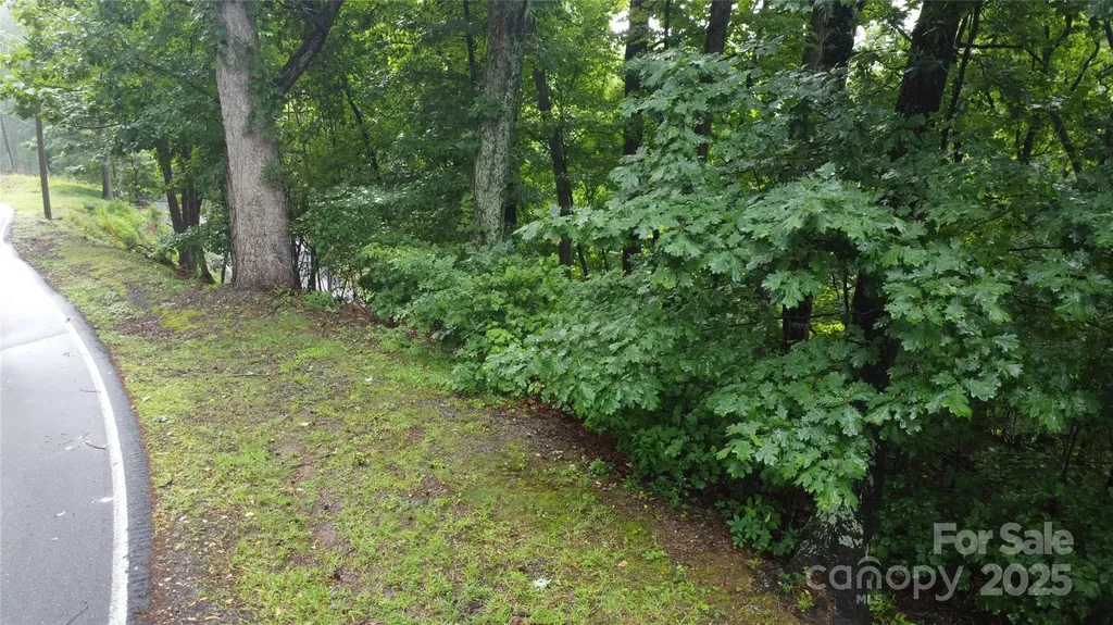 #46 Hemlock Trail Columbus NC 28722