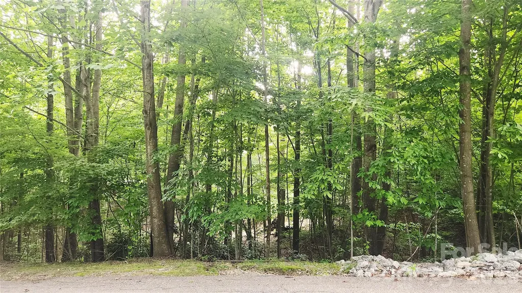 9999 Red Bud Lane Laurel Park NC 28739