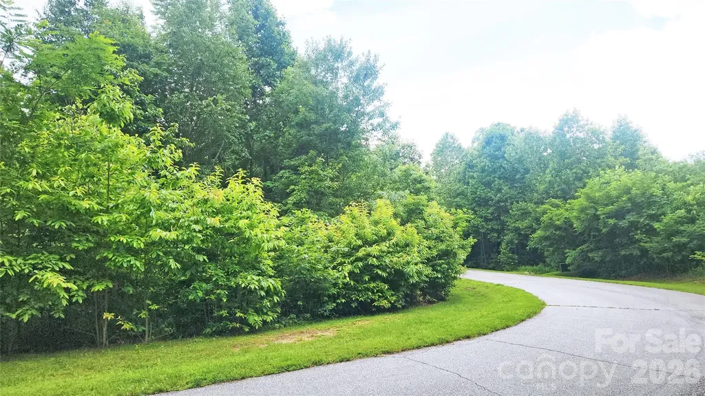 9999 Red Bud Lane Laurel Park NC 28739