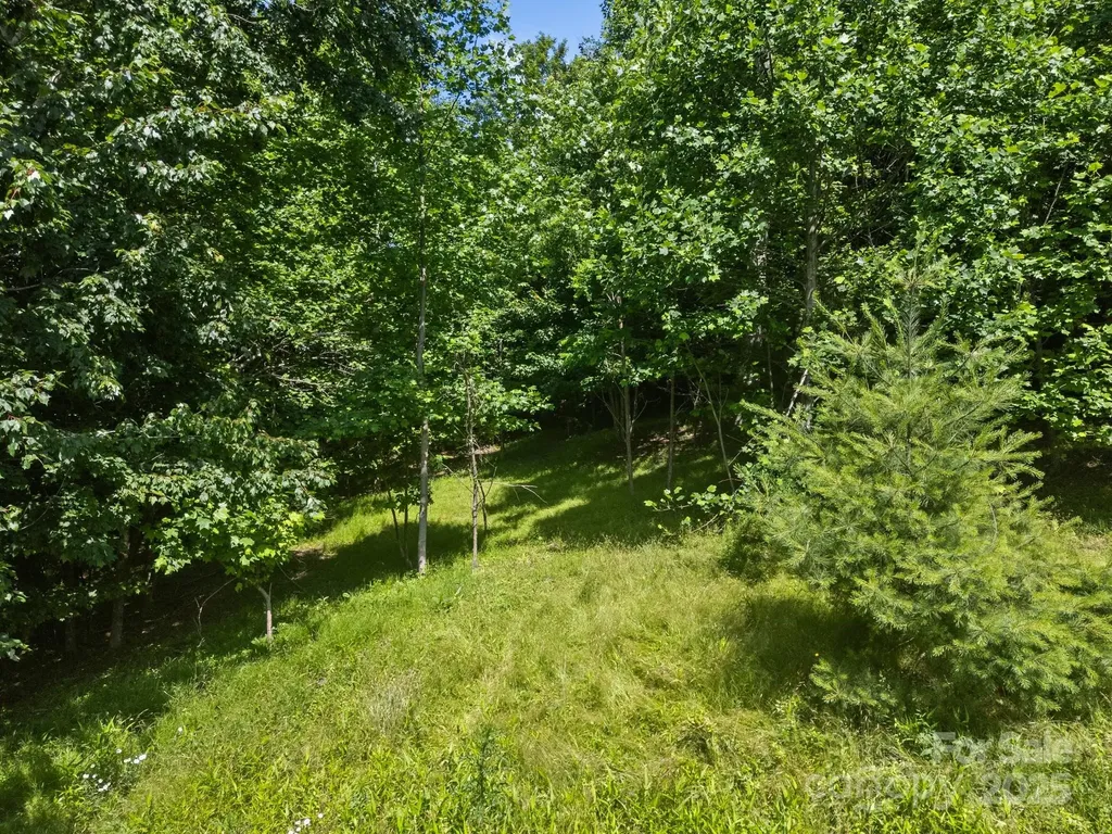 1063 Somersby Parkway Hendersonville NC 28739