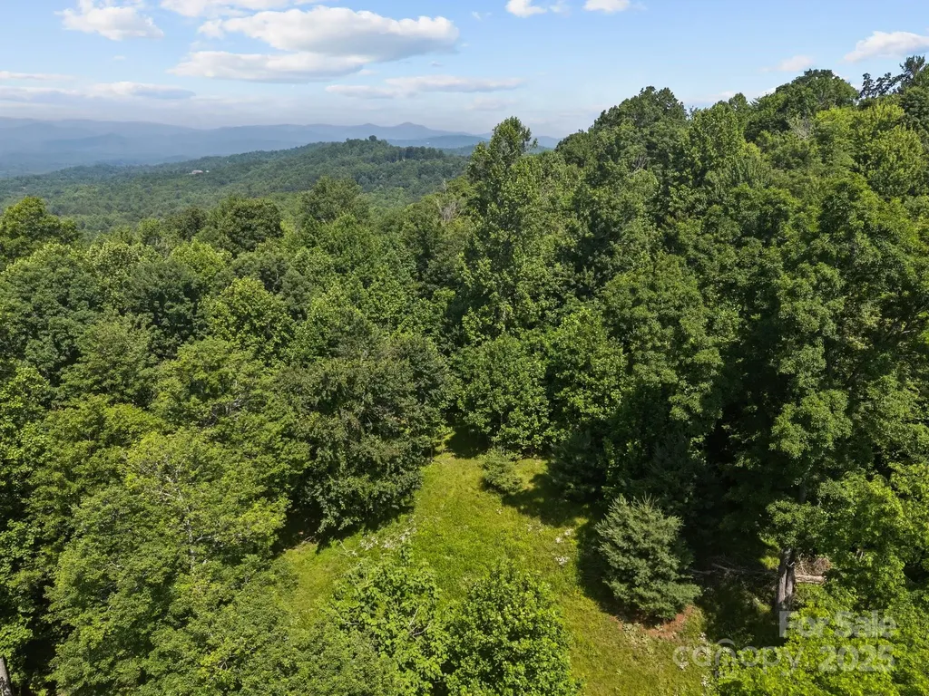 1063 Somersby Parkway Hendersonville NC 28739