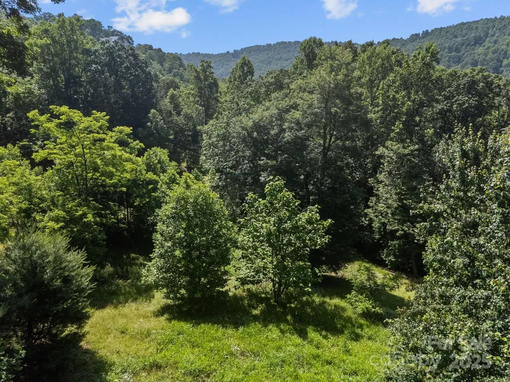1063 Somersby Parkway Hendersonville NC 28739