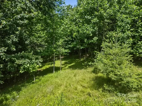 1063 Somersby Parkway Hendersonville NC 28739