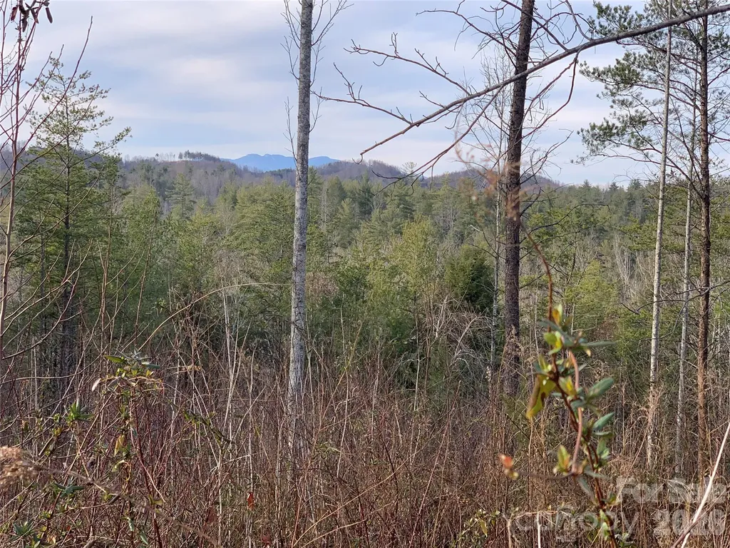 2.66 Acres, Lot 903 High Valley Way Lenoir NC 28645