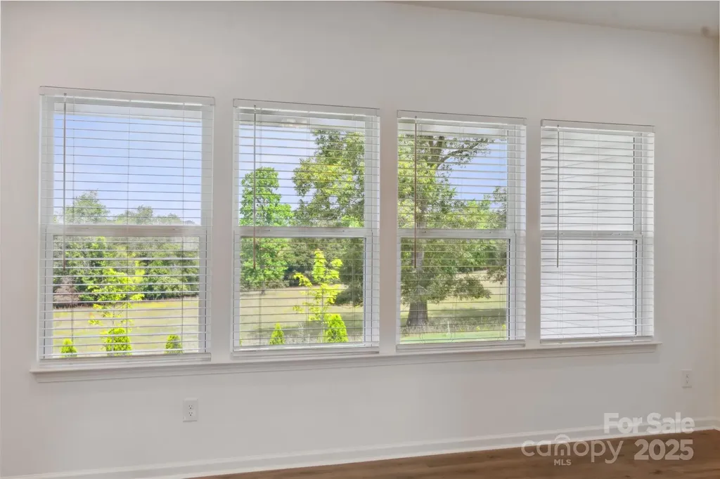 117 Carmine Court Troutman NC 28166