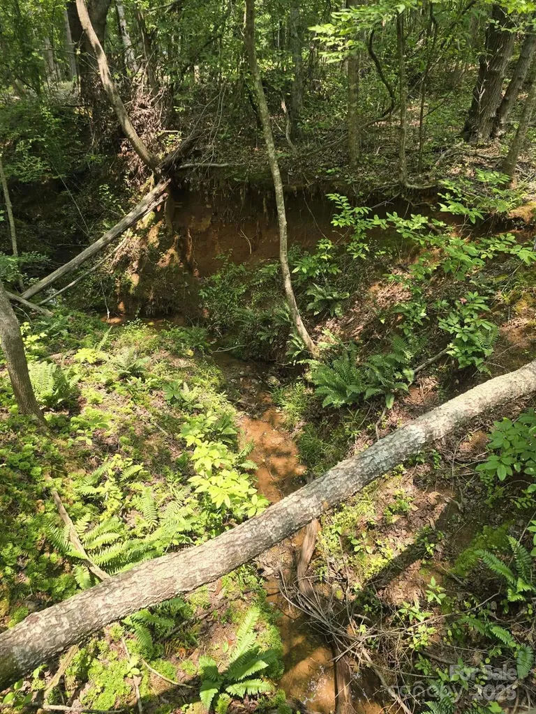 Lot 10 State Line Road Mooresboro NC 28114