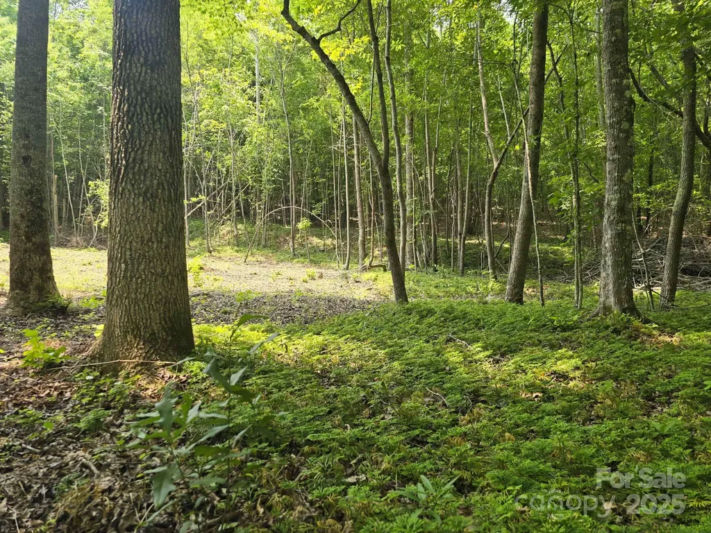 Lot 10 State Line Road Mooresboro NC 28114