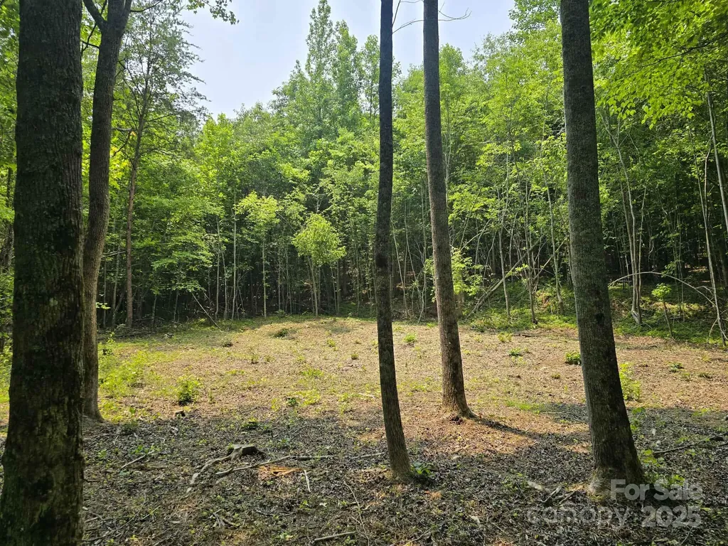 Lot 10 State Line Road Mooresboro NC 28114