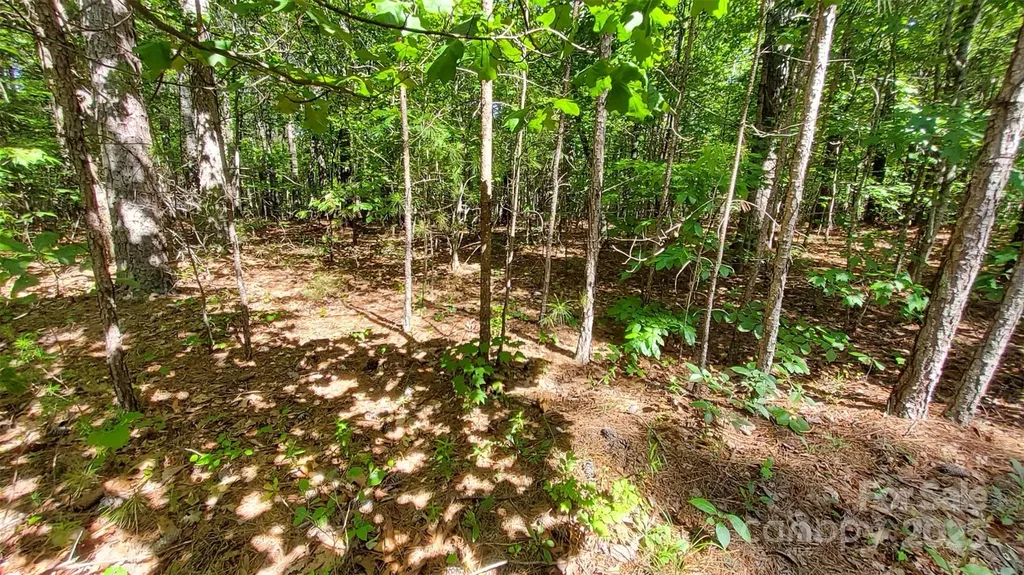 0000 Loblolly Lane Mill Spring NC 28756