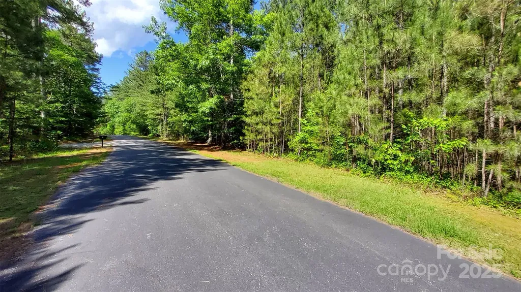 0000 Loblolly Lane Mill Spring NC 28756