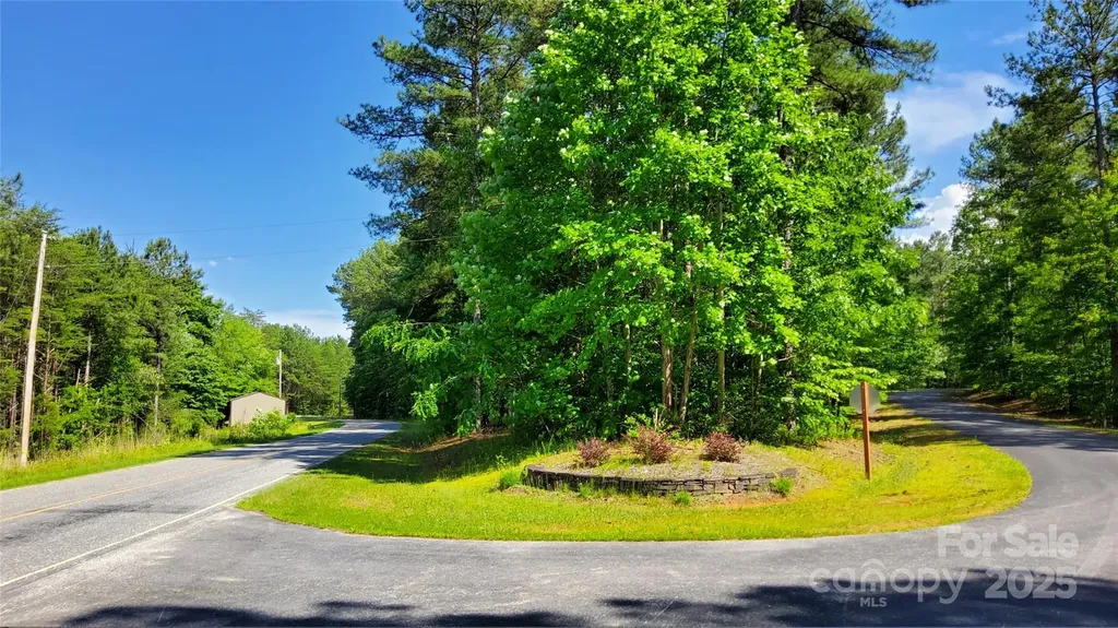 0000 Loblolly Lane Mill Spring NC 28756