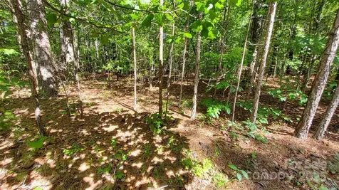 0000 Loblolly Lane Mill Spring NC 28756