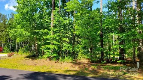 0000 Loblolly Lane Mill Spring NC 28756