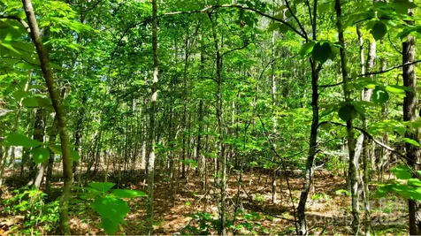 0000 Loblolly Lane Mill Spring NC 28756