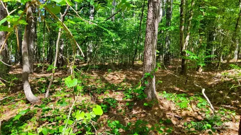 0000 Loblolly Lane Mill Spring NC 28756