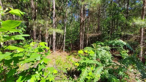 0000 Loblolly Lane Mill Spring NC 28756