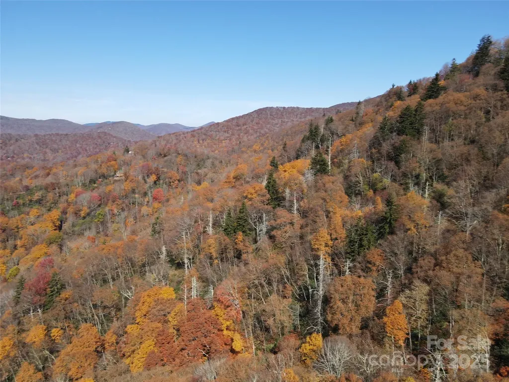 3837 Plott Balsam Road Maggie Valley NC 28779