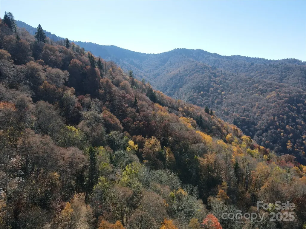 3837 Plott Balsam Road Maggie Valley NC 28779