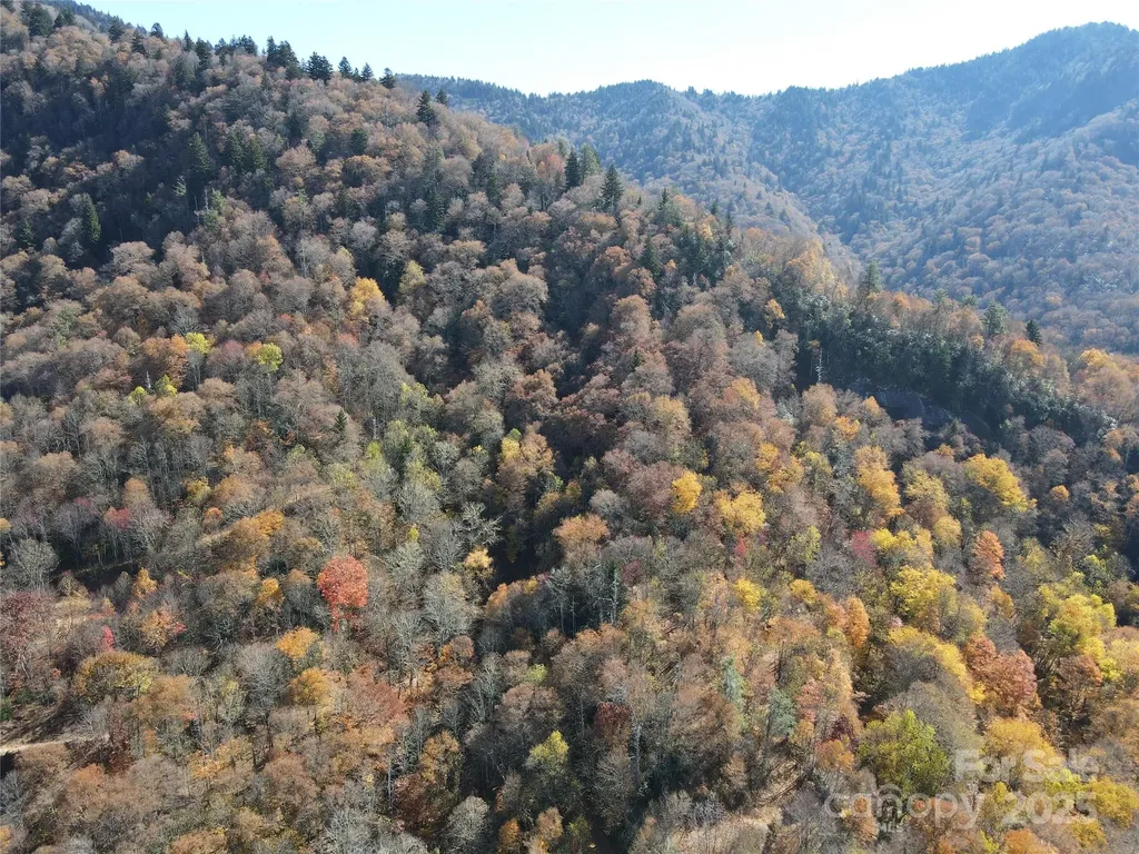 3837 Plott Balsam Road Maggie Valley NC 28779