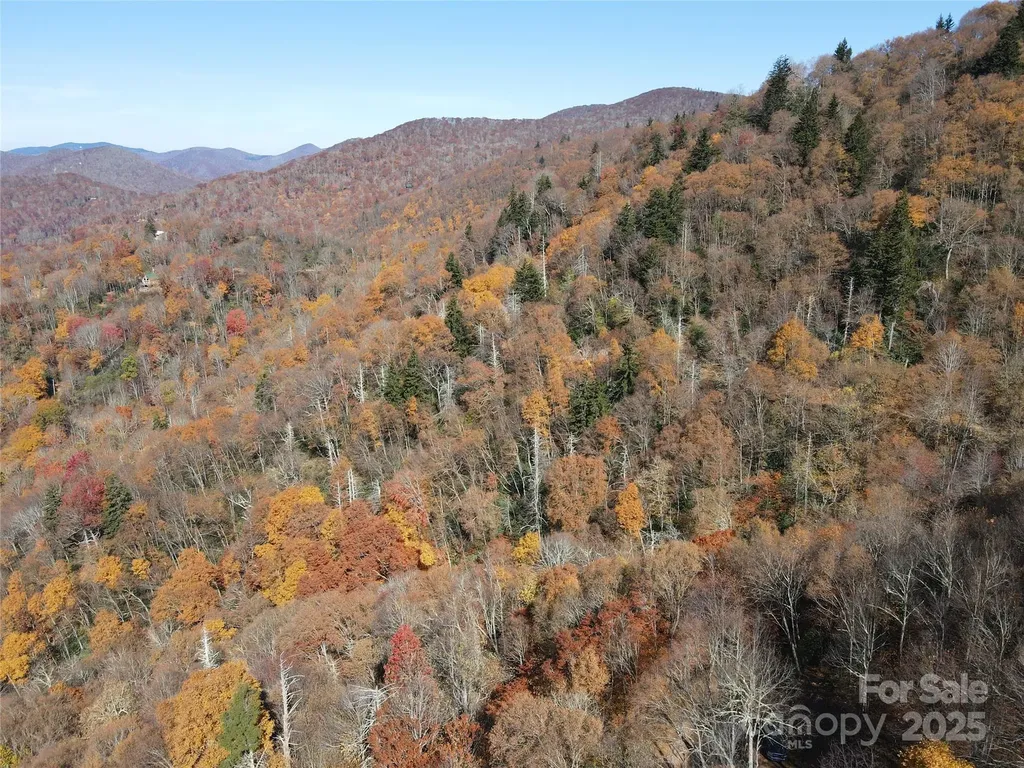 3837 Plott Balsam Road Maggie Valley NC 28779